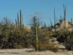 USA_Mexico2006-2007-052